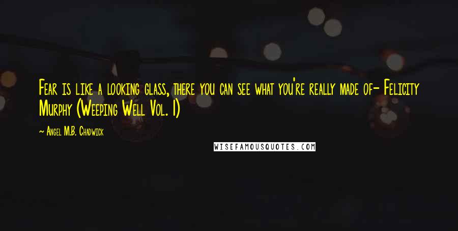 Angel M.B. Chadwick Quotes: Fear is like a looking glass, there you can see what you're really made of- Felicity Murphy (Weeping Well Vol. 1)