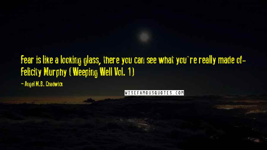 Angel M.B. Chadwick Quotes: Fear is like a looking glass, there you can see what you're really made of- Felicity Murphy (Weeping Well Vol. 1)