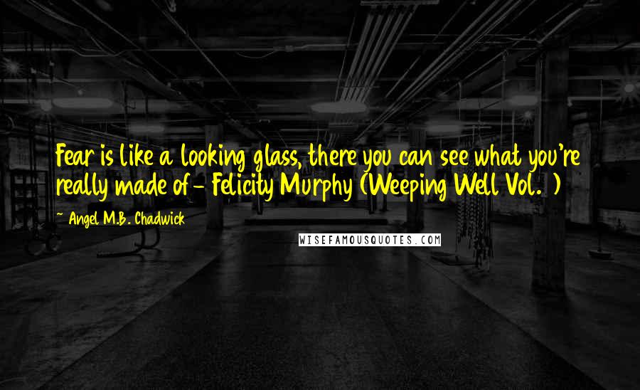 Angel M.B. Chadwick Quotes: Fear is like a looking glass, there you can see what you're really made of- Felicity Murphy (Weeping Well Vol. 1)