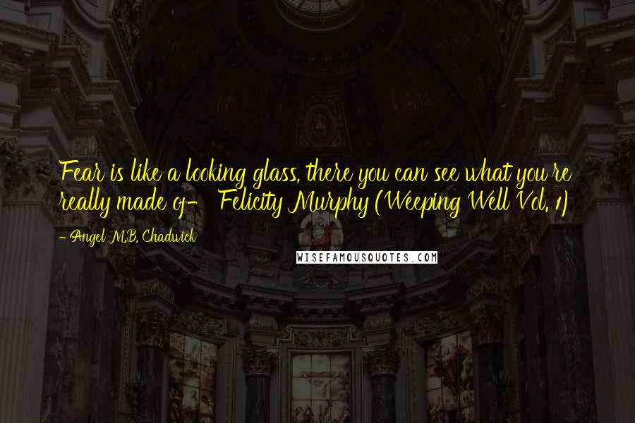 Angel M.B. Chadwick Quotes: Fear is like a looking glass, there you can see what you're really made of- Felicity Murphy (Weeping Well Vol. 1)