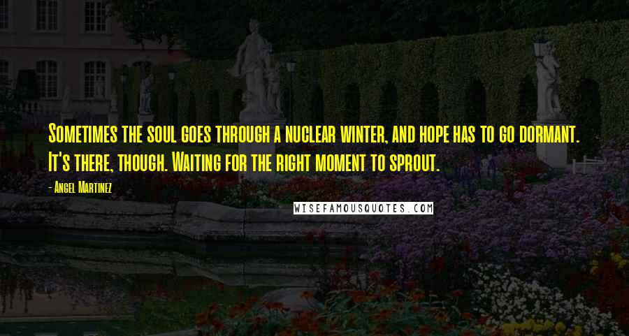 Angel Martinez Quotes: Sometimes the soul goes through a nuclear winter, and hope has to go dormant. It's there, though. Waiting for the right moment to sprout.