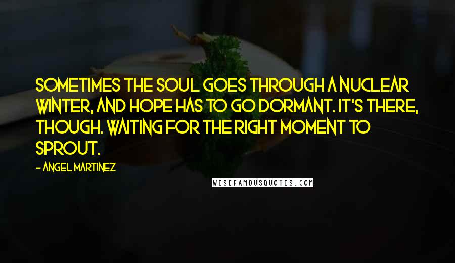 Angel Martinez Quotes: Sometimes the soul goes through a nuclear winter, and hope has to go dormant. It's there, though. Waiting for the right moment to sprout.
