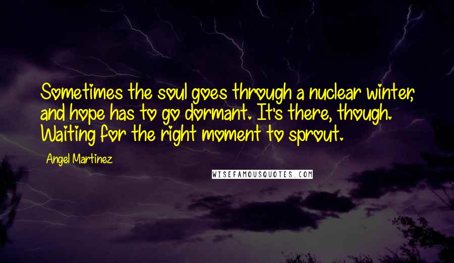 Angel Martinez Quotes: Sometimes the soul goes through a nuclear winter, and hope has to go dormant. It's there, though. Waiting for the right moment to sprout.