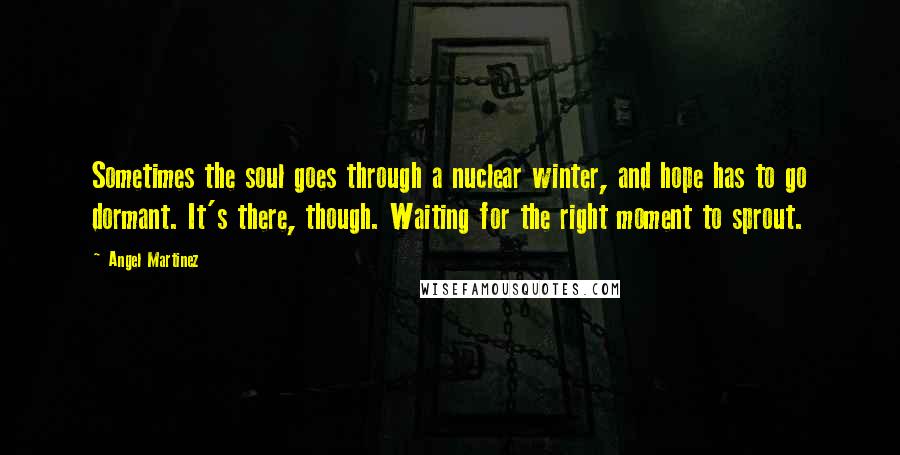 Angel Martinez Quotes: Sometimes the soul goes through a nuclear winter, and hope has to go dormant. It's there, though. Waiting for the right moment to sprout.