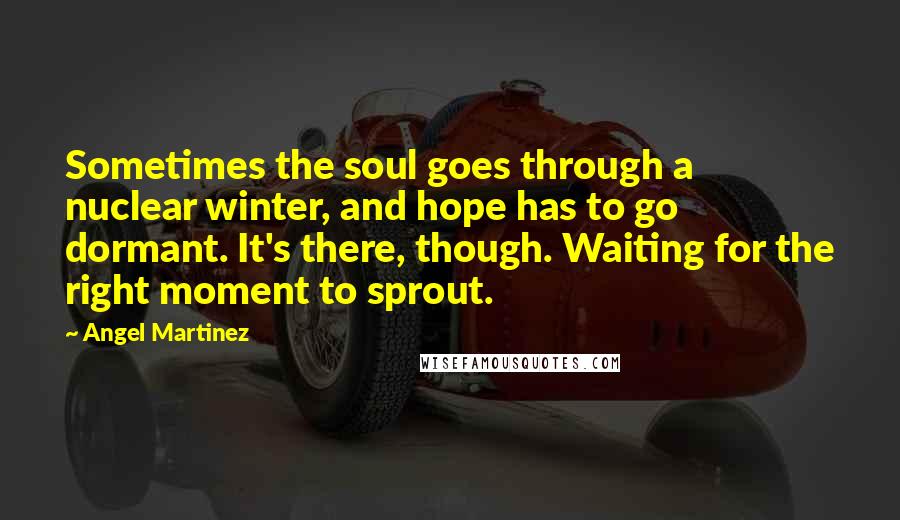 Angel Martinez Quotes: Sometimes the soul goes through a nuclear winter, and hope has to go dormant. It's there, though. Waiting for the right moment to sprout.
