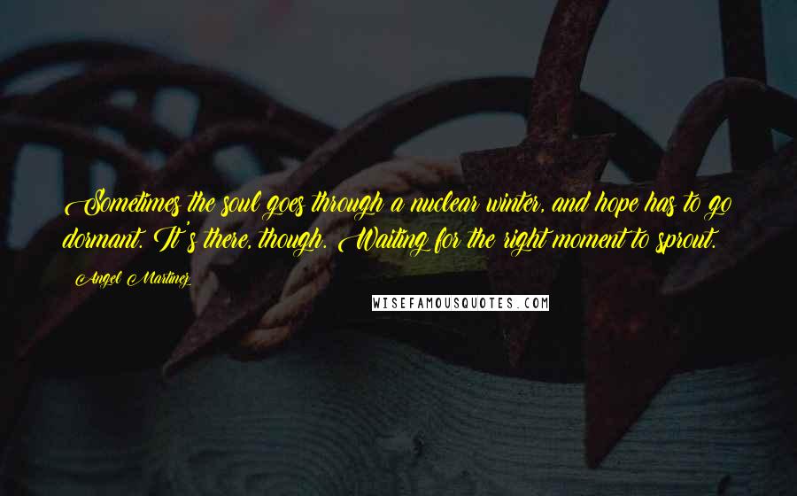 Angel Martinez Quotes: Sometimes the soul goes through a nuclear winter, and hope has to go dormant. It's there, though. Waiting for the right moment to sprout.