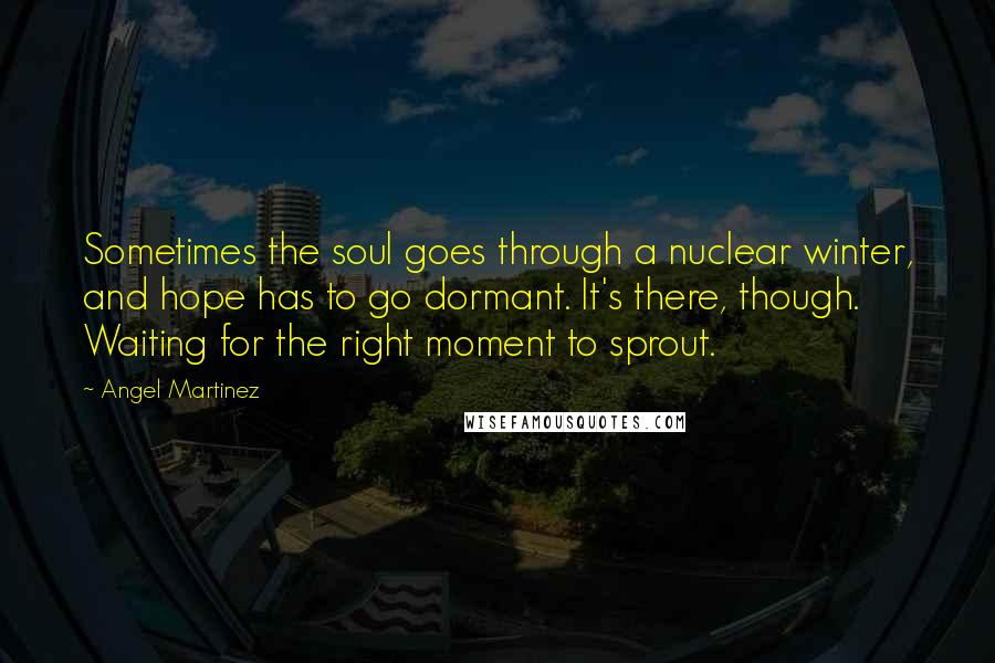 Angel Martinez Quotes: Sometimes the soul goes through a nuclear winter, and hope has to go dormant. It's there, though. Waiting for the right moment to sprout.