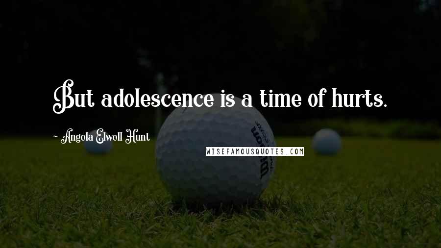 Angela Elwell Hunt Quotes: But adolescence is a time of hurts.