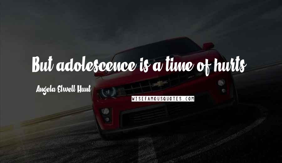 Angela Elwell Hunt Quotes: But adolescence is a time of hurts.