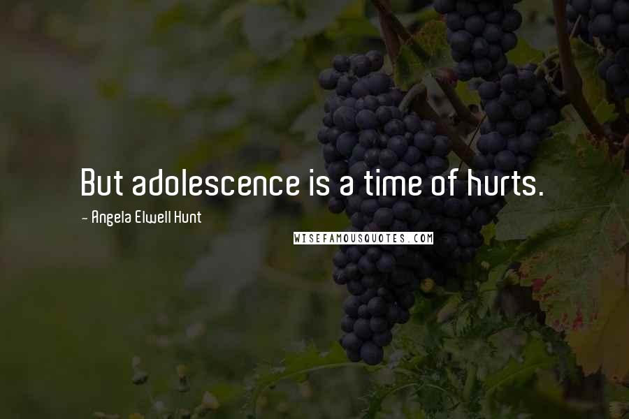 Angela Elwell Hunt Quotes: But adolescence is a time of hurts.