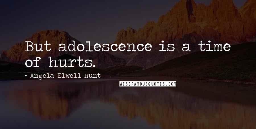 Angela Elwell Hunt Quotes: But adolescence is a time of hurts.