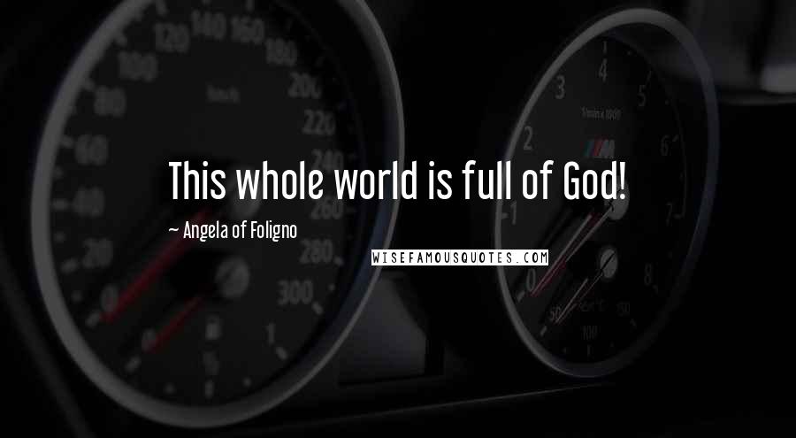 Angela Of Foligno Quotes: This whole world is full of God!
