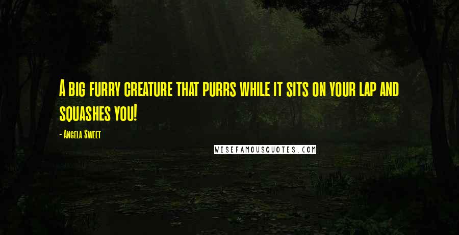 Angela Sweet Quotes: A big furry creature that purrs while it sits on your lap and squashes you!
