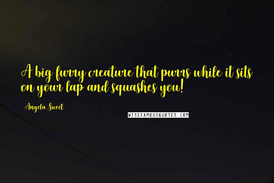 Angela Sweet Quotes: A big furry creature that purrs while it sits on your lap and squashes you!