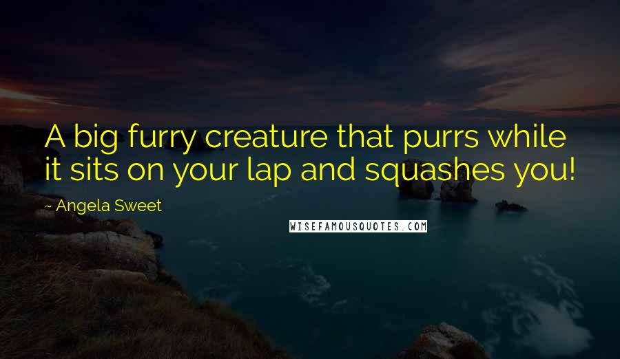 Angela Sweet Quotes: A big furry creature that purrs while it sits on your lap and squashes you!