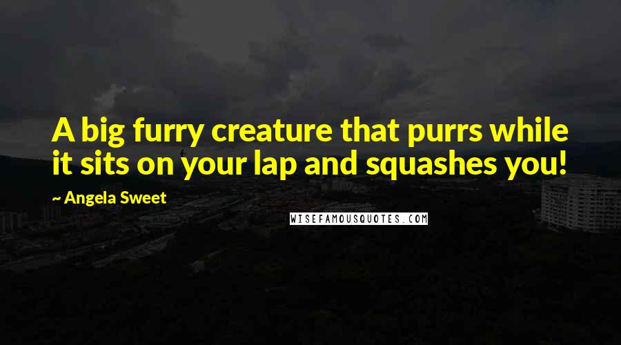 Angela Sweet Quotes: A big furry creature that purrs while it sits on your lap and squashes you!