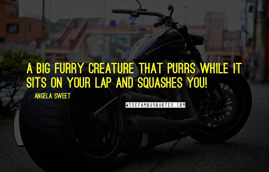 Angela Sweet Quotes: A big furry creature that purrs while it sits on your lap and squashes you!