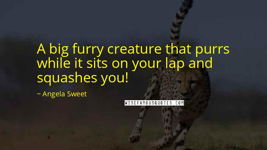 Angela Sweet Quotes: A big furry creature that purrs while it sits on your lap and squashes you!