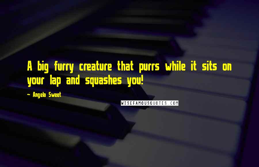 Angela Sweet Quotes: A big furry creature that purrs while it sits on your lap and squashes you!