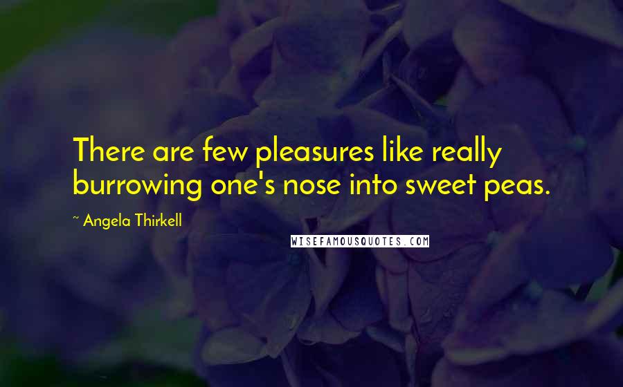 Angela Thirkell Quotes: There are few pleasures like really burrowing one's nose into sweet peas.