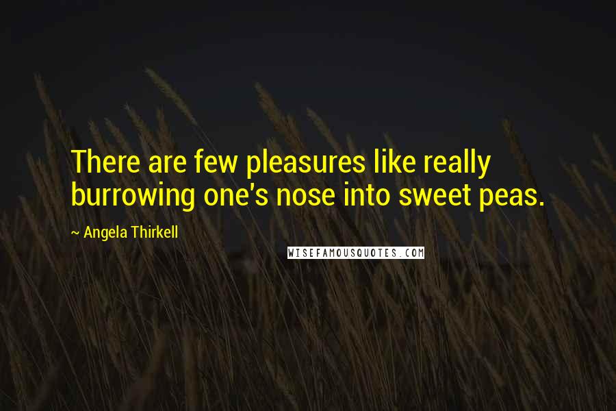 Angela Thirkell Quotes: There are few pleasures like really burrowing one's nose into sweet peas.