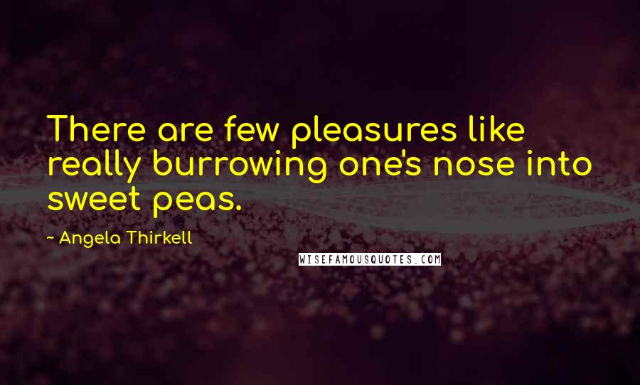 Angela Thirkell Quotes: There are few pleasures like really burrowing one's nose into sweet peas.