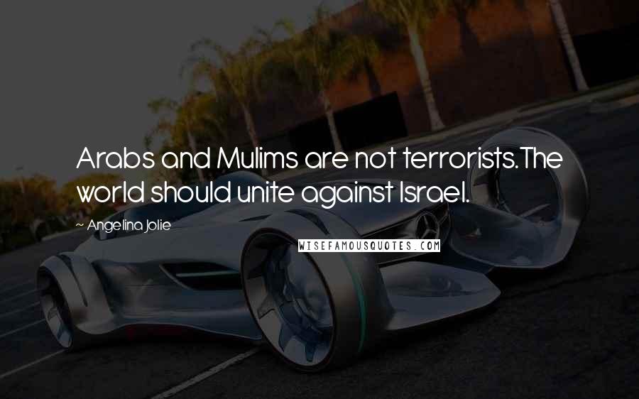 Angelina Jolie Quotes: Arabs and Mulims are not terrorists.The world should unite against Israel.