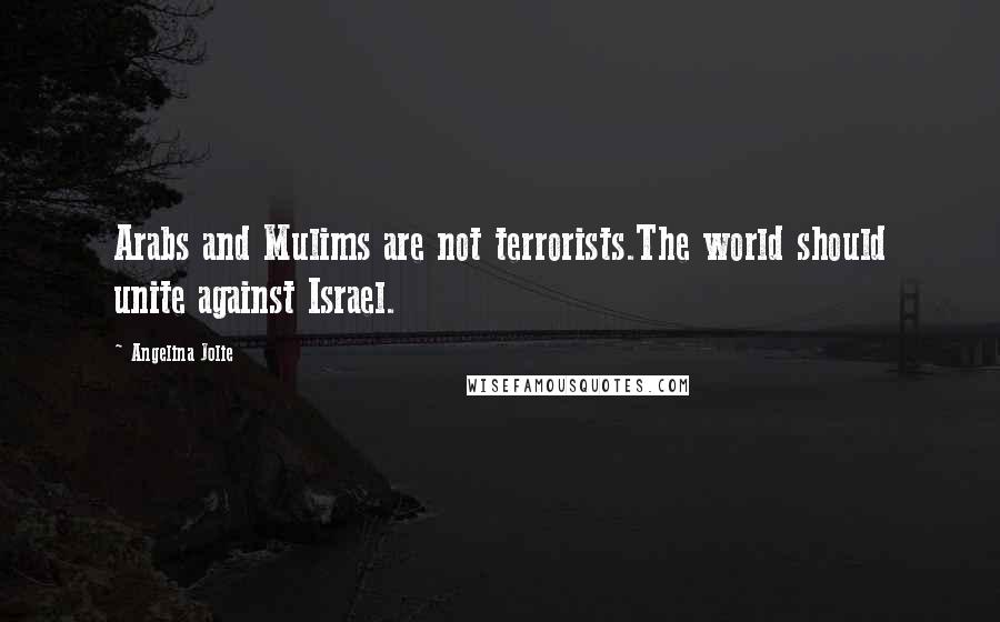 Angelina Jolie Quotes: Arabs and Mulims are not terrorists.The world should unite against Israel.