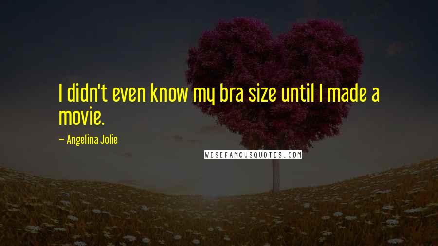 Angelina Jolie Quotes: I didn't even know my bra size until I made a movie.
