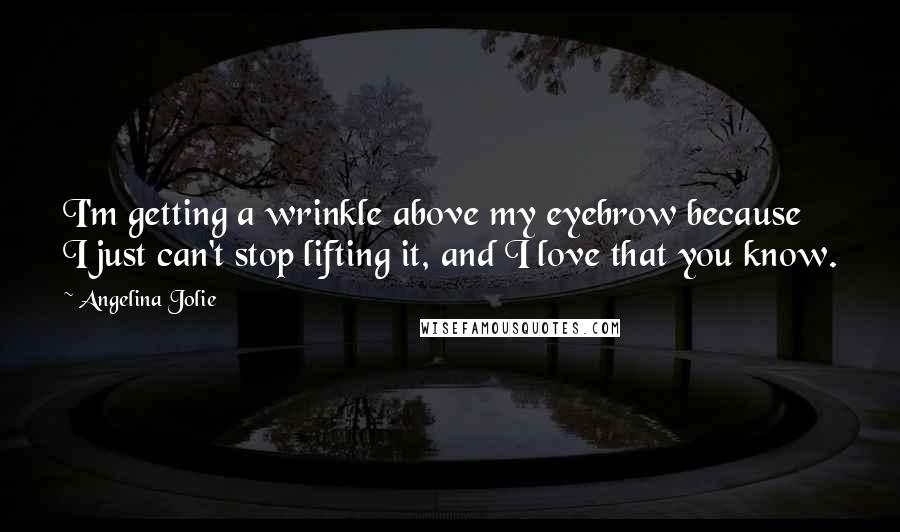 Angelina Jolie Quotes: I'm getting a wrinkle above my eyebrow because I just can't stop lifting it, and I love that you know.