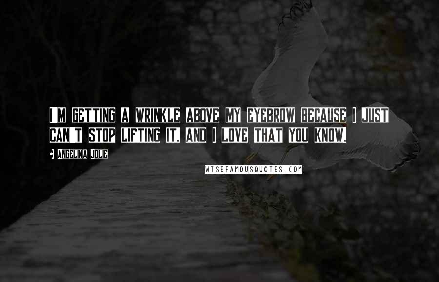 Angelina Jolie Quotes: I'm getting a wrinkle above my eyebrow because I just can't stop lifting it, and I love that you know.