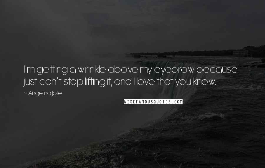 Angelina Jolie Quotes: I'm getting a wrinkle above my eyebrow because I just can't stop lifting it, and I love that you know.