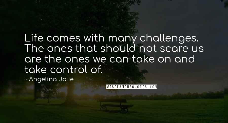 Angelina Jolie Quotes: Life comes with many challenges. The ones that should not scare us are the ones we can take on and take control of.