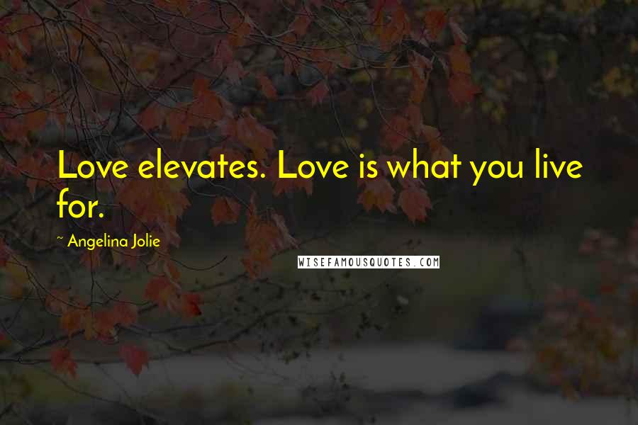 Angelina Jolie Quotes: Love elevates. Love is what you live for.