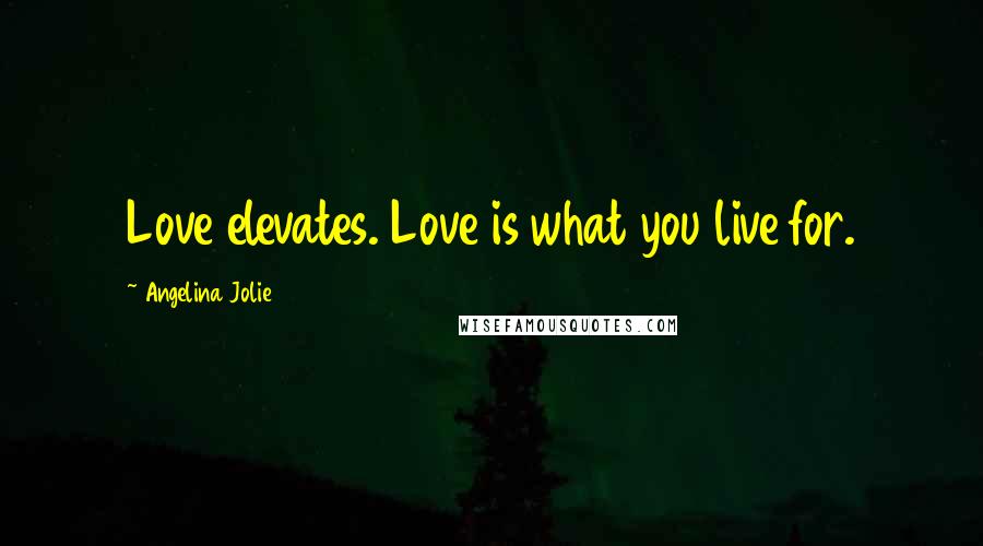 Angelina Jolie Quotes: Love elevates. Love is what you live for.