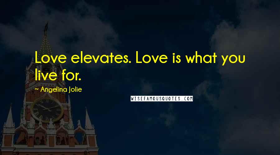 Angelina Jolie Quotes: Love elevates. Love is what you live for.