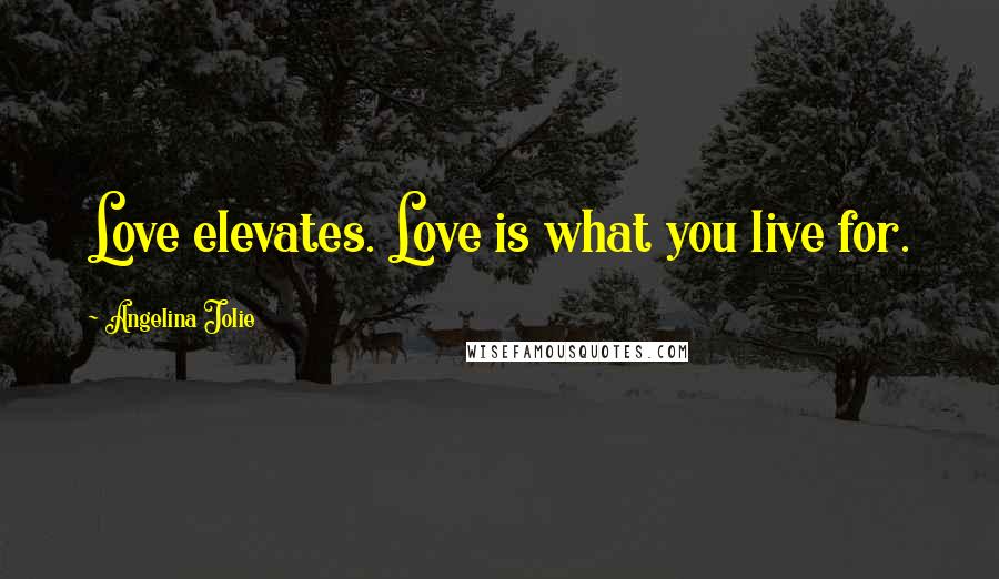 Angelina Jolie Quotes: Love elevates. Love is what you live for.