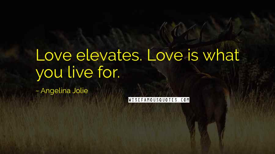 Angelina Jolie Quotes: Love elevates. Love is what you live for.