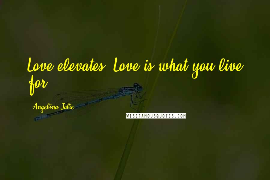 Angelina Jolie Quotes: Love elevates. Love is what you live for.