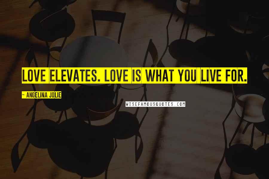 Angelina Jolie Quotes: Love elevates. Love is what you live for.