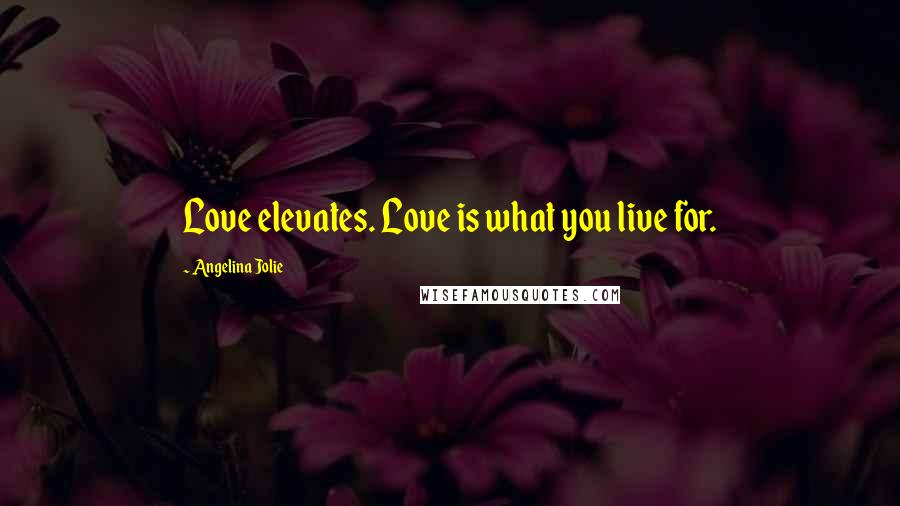 Angelina Jolie Quotes: Love elevates. Love is what you live for.