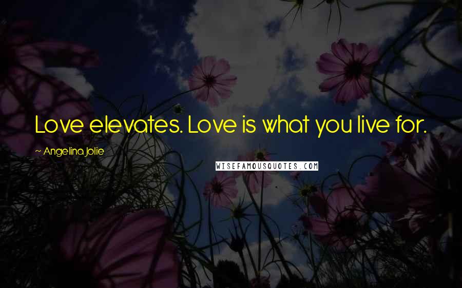 Angelina Jolie Quotes: Love elevates. Love is what you live for.