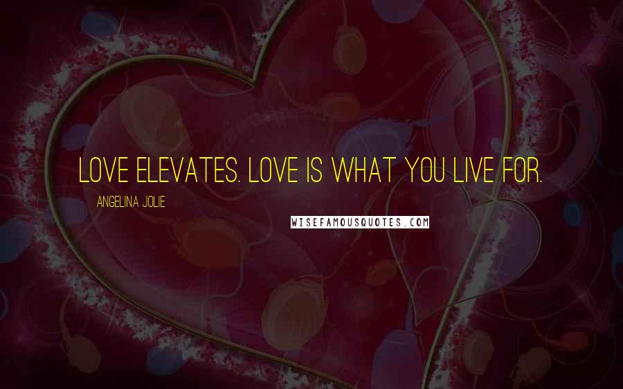 Angelina Jolie Quotes: Love elevates. Love is what you live for.