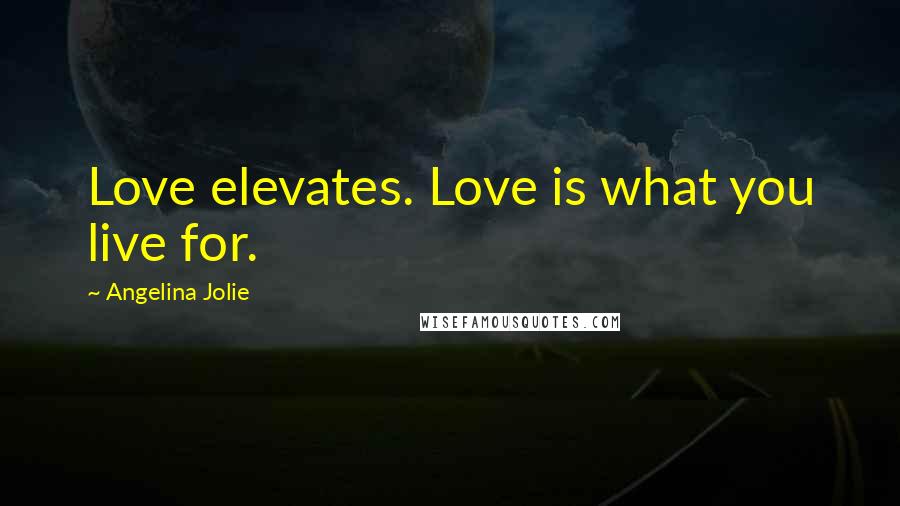 Angelina Jolie Quotes: Love elevates. Love is what you live for.