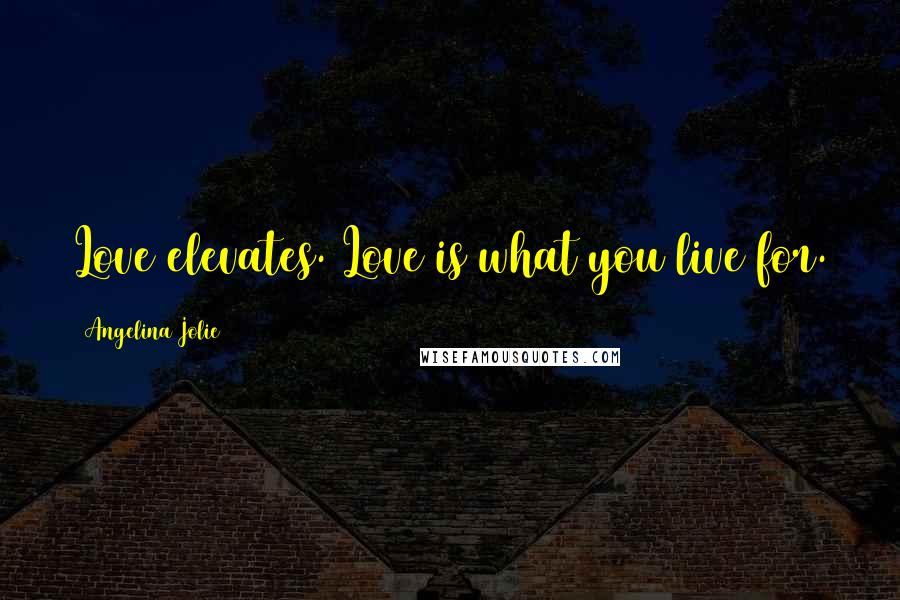 Angelina Jolie Quotes: Love elevates. Love is what you live for.