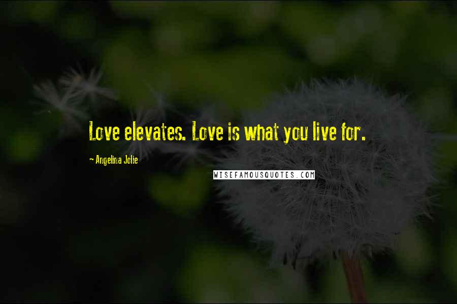 Angelina Jolie Quotes: Love elevates. Love is what you live for.