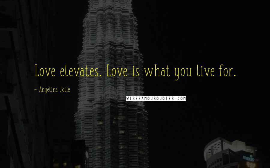 Angelina Jolie Quotes: Love elevates. Love is what you live for.