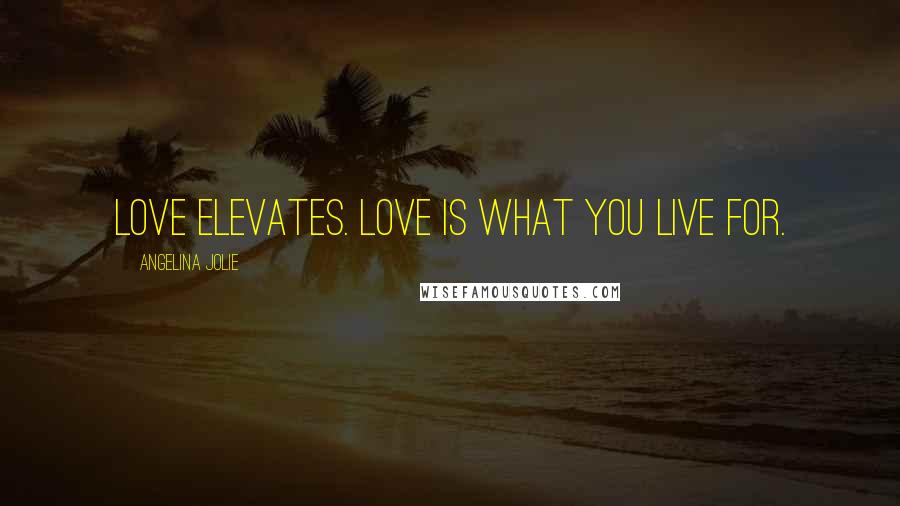 Angelina Jolie Quotes: Love elevates. Love is what you live for.