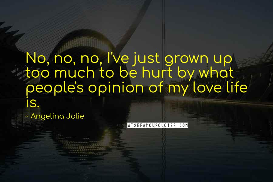 Angelina Jolie Quotes: No, no, no, I've just grown up too much to be hurt by what people's opinion of my love life is.