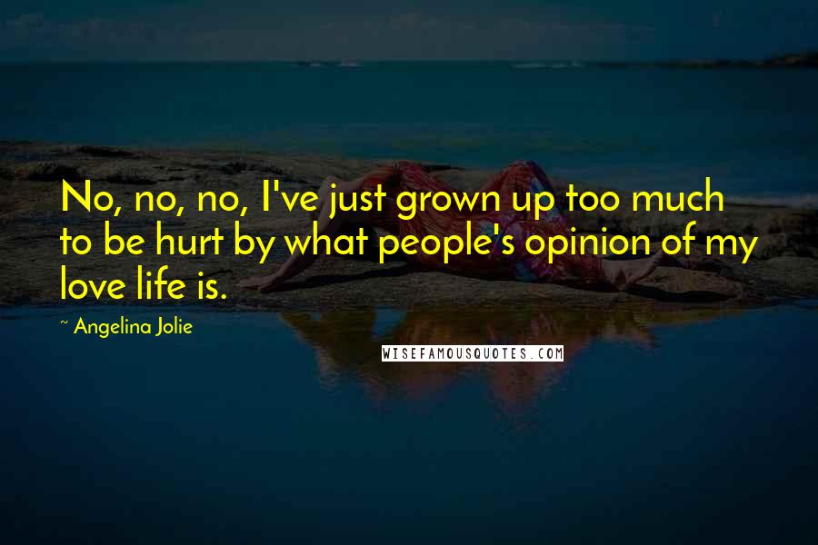 Angelina Jolie Quotes: No, no, no, I've just grown up too much to be hurt by what people's opinion of my love life is.